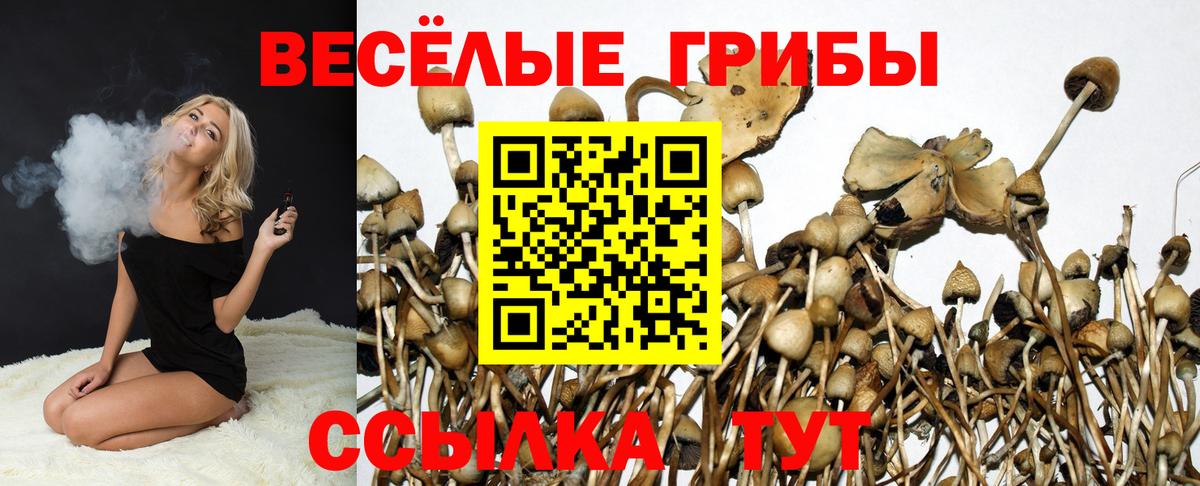 Звенигород  Псилоцибиновые грибы Psilocybine cubensis  Вход с VPN  Галлюциногенные грибы Cubensis 